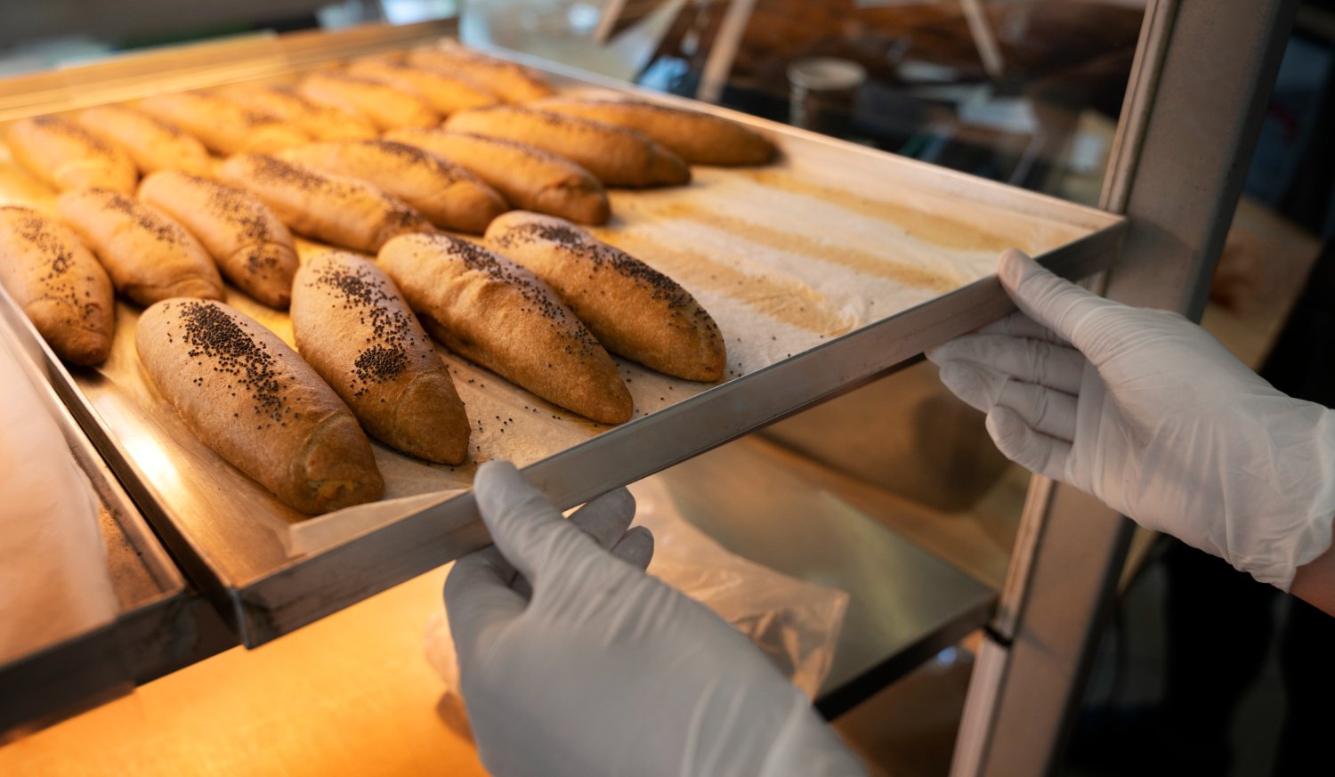 Bandejas Horno Industrial